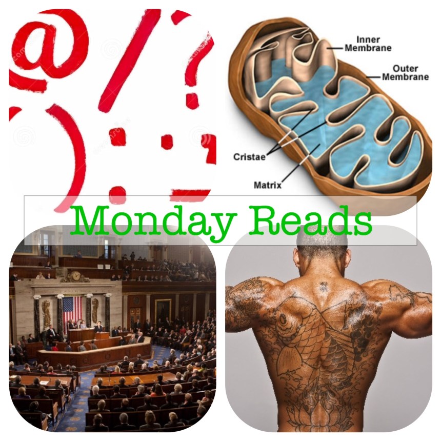 Processed with Moldiv