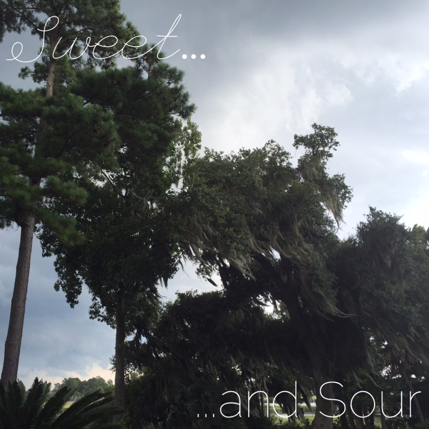 Processed with Moldiv