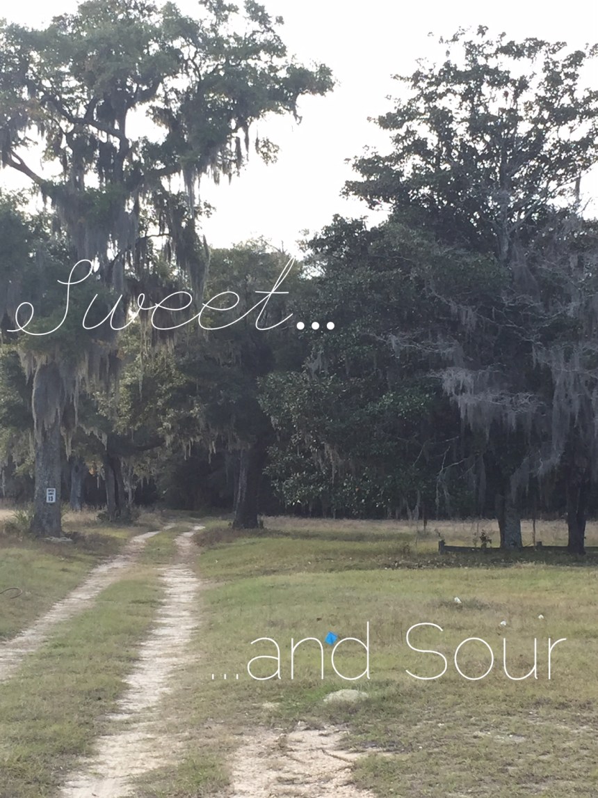 Processed with MOLDIV