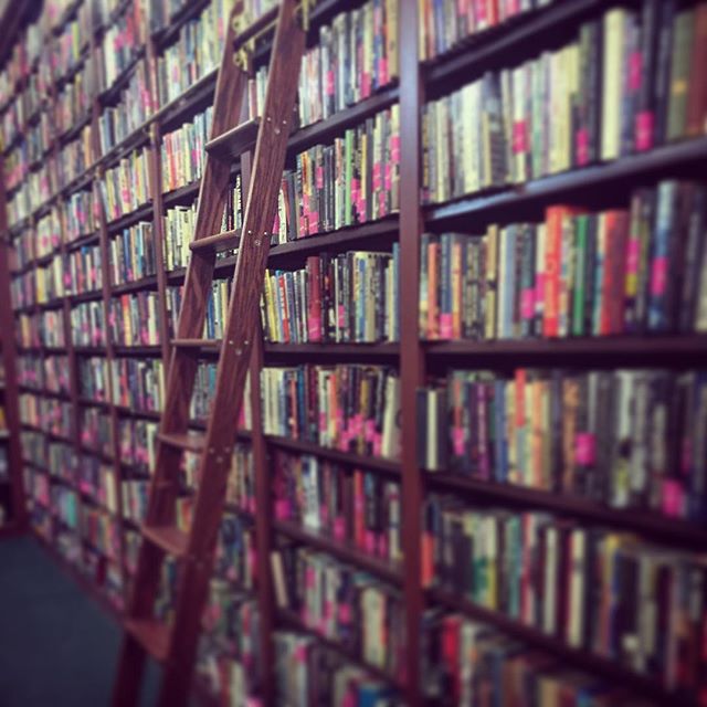 Heaven. 📖🤓 #nerdalert #bookworm #📚🐛 #ladder #bookstore #libraryladder