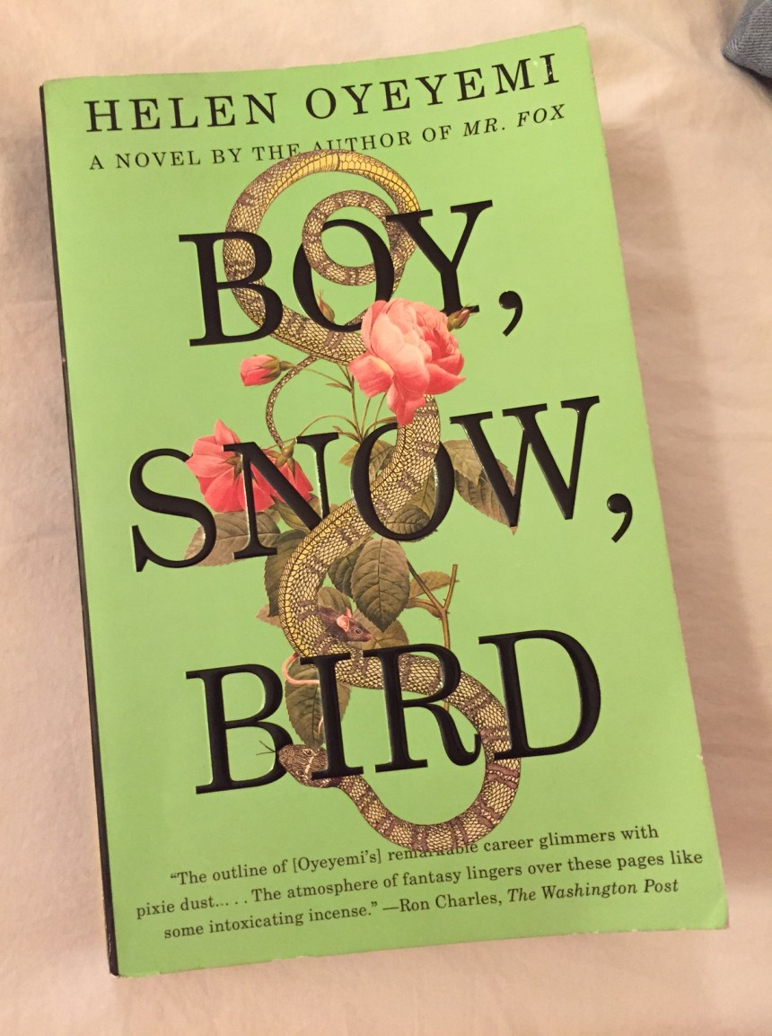 boy snow bird