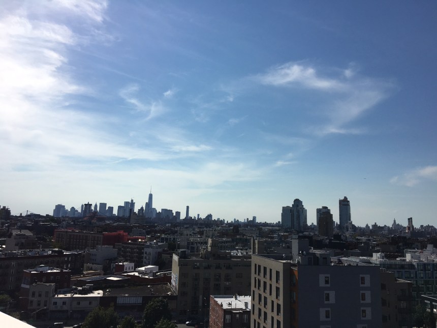fall checklist - rooftop view