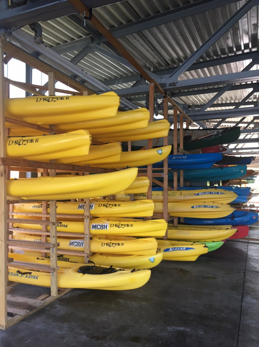 kayak5