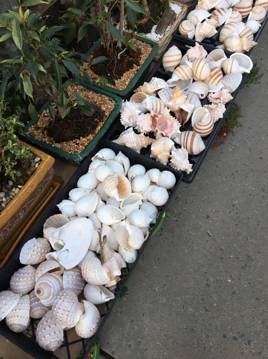 what's cookin - april3