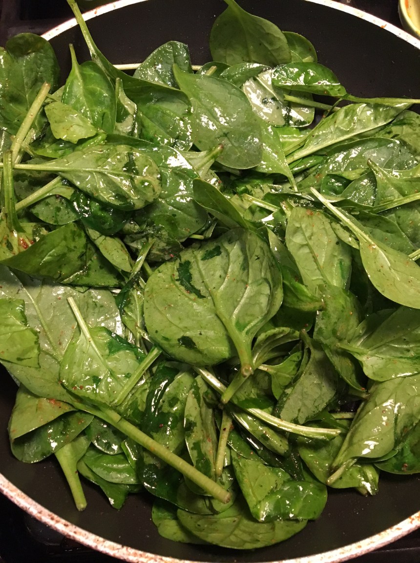 turkey cutlets with smoked mozz3