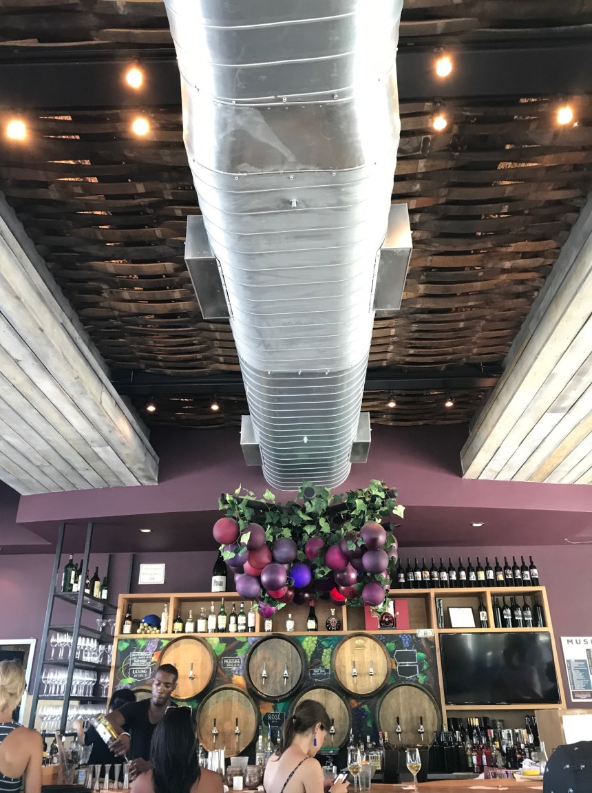 city vineyard2