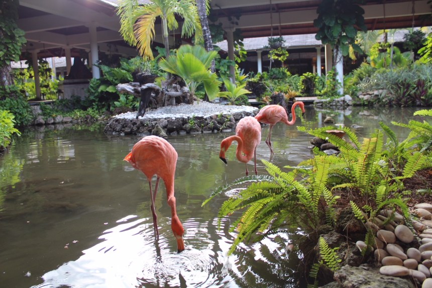 punta cana paradisus5